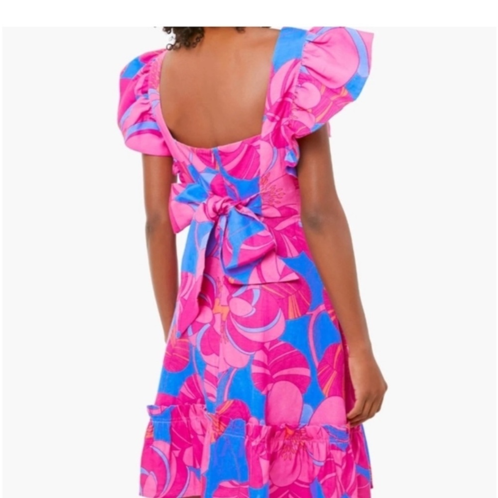Tuckernuck Cameran Eubanks Linen Pink Blue Floral Wild Azalea Edisto Dress XL - Picture 2 of 6